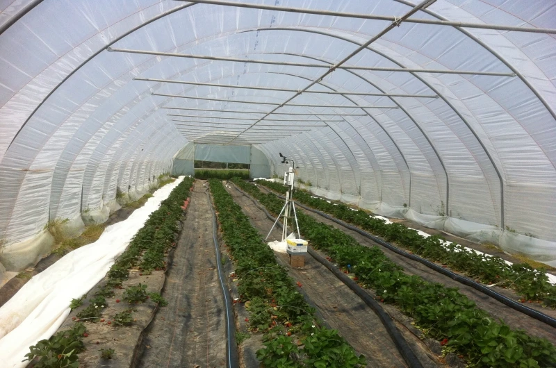 Crop Cover - UV Stabilize Product 2