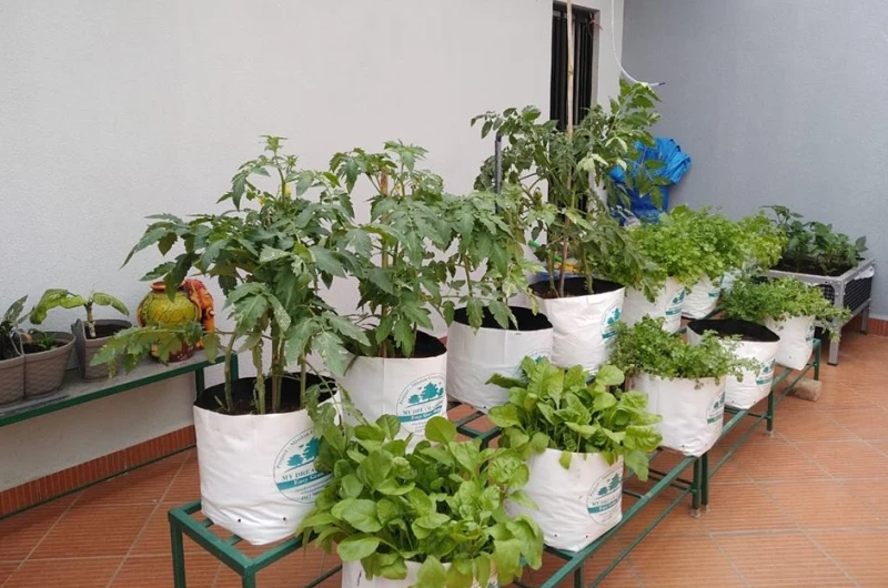 Grow Bag - UV Stabilize Product 3